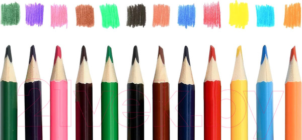 Изображение товара Набор цветных карандашей Schoolformat Дикая планета / КЦ12-ДП (12цв)