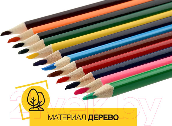 Изображение товара Набор цветных карандашей Schoolformat Дикая планета / КЦ12-ДП (12цв)