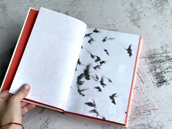 Изображение товара Книга Эксмо Жутко громко и запредельно близко. Young Adult (Фоер Дж.С.)