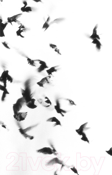 Изображение товара Книга Эксмо Жутко громко и запредельно близко. Young Adult (Фоер Дж.С.)