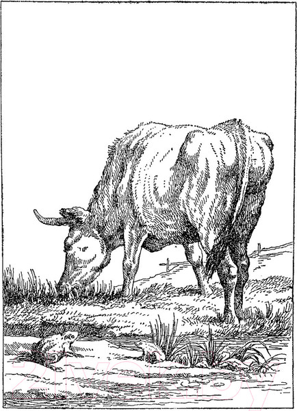 Изображение товара Книга Эксмо Басни / 9785041541606 (Крылов И.А.)