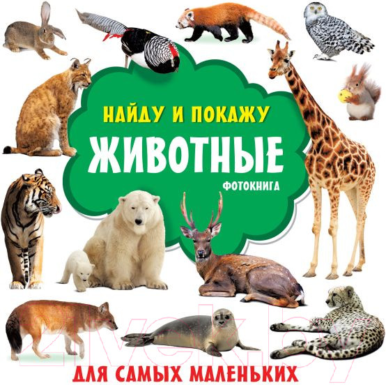 Изображение товара Развивающая книга АСТ Животные Фотокнига
