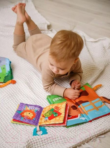 Изображение товара Развивающая игрушка Amarobaby Книжка-игрушка с грызунком Soft Book Контрасты / AMARO-201SBF/28