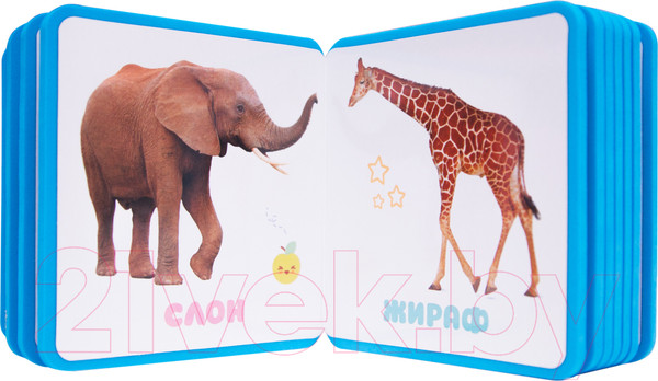 Изображение товара Развивающая книга Мозаика-Синтез Первые слова Малышариков. Первые слова Пандочки / МС11721