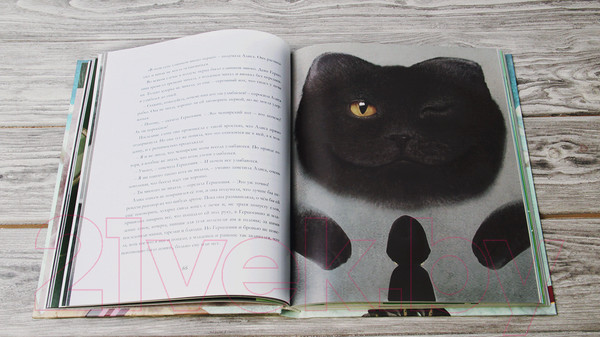 Изображение товара Книга АСТ Алиса в Стране чудес. Алиса в Зазеркалье (Кэрролл Л., Зинько Г.)