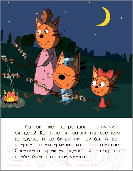 Изображение товара Развивающая книга Мозаика-Синтез Три кота. Читаю по слогам. Ночь на природе / МС11870