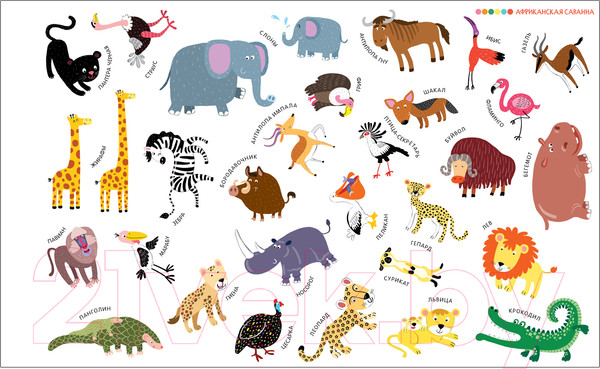 Изображение товара Развивающая книга Мозаика-Синтез Удивительный мир животных / МС11108