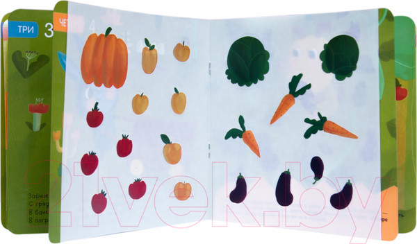 Изображение товара Развивающая книга Мозаика-Синтез Милашки-очаровашки. Счет / МС10826