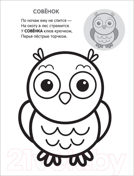 Изображение товара Раскраска Мозаика-Синтез Раскрась по образцу. В лесу / МС11583