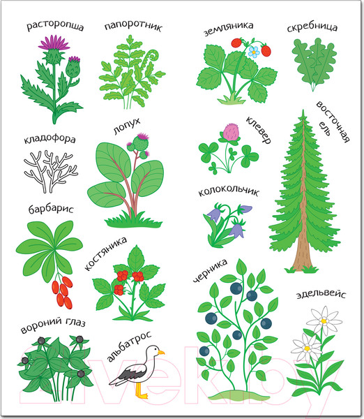 Изображение товара Раскраска Мозаика-Синтез Раскрась Россию. Книжка с наклейками. Кавказ / МС11390