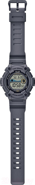 Изображение товара Часы наручные мужские Casio WS-1300H-8A