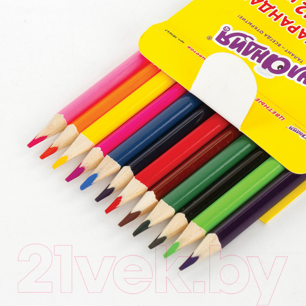 Изображение товара Набор цветных карандашей Юнландия Экзотика / 181647 (12цв)