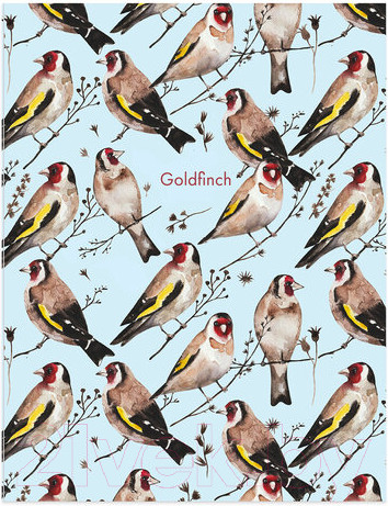 Изображение товара Тетрадь Brauberg Щеглы / 404079