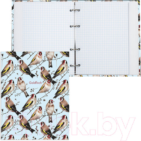 Изображение товара Тетрадь Brauberg Щеглы / 404079