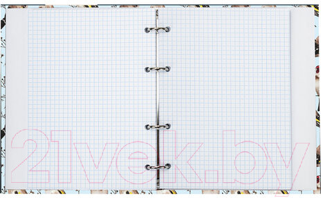 Изображение товара Тетрадь Brauberg Щеглы / 404079