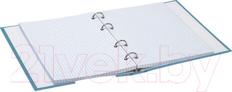 Изображение товара Тетрадь Brauberg Щеглы / 404079