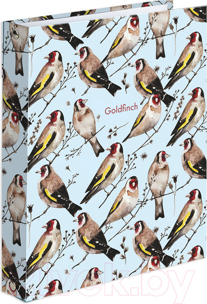 Изображение товара Тетрадь Brauberg Щеглы / 404079