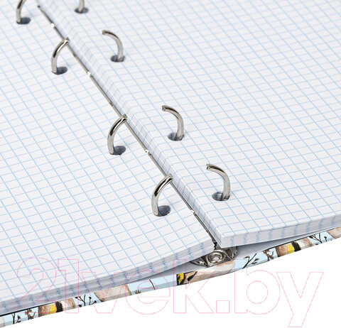 Изображение товара Тетрадь Brauberg Щеглы / 404079