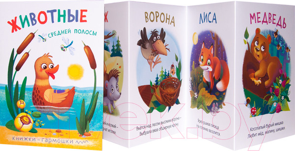 Изображение товара Развивающая книга Мозаика-Синтез Книжки-гармошки. Животные средней полосы / МС11127