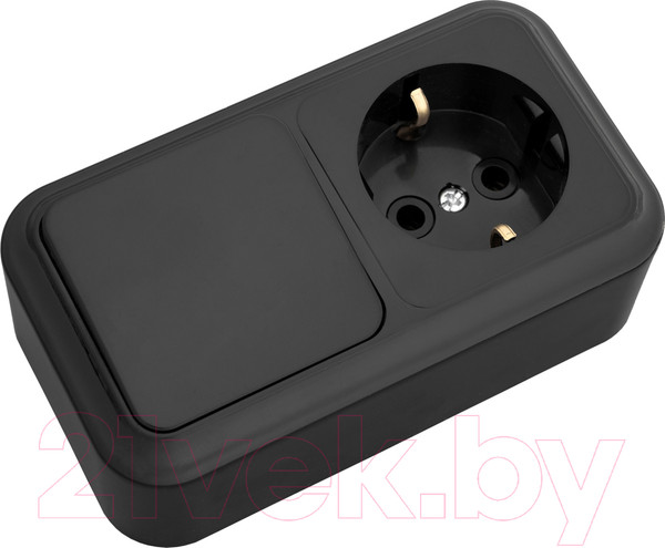 Изображение товара Блок выключатель+розетка Bylectrica Пралеска В-РЦ-527 (черный)