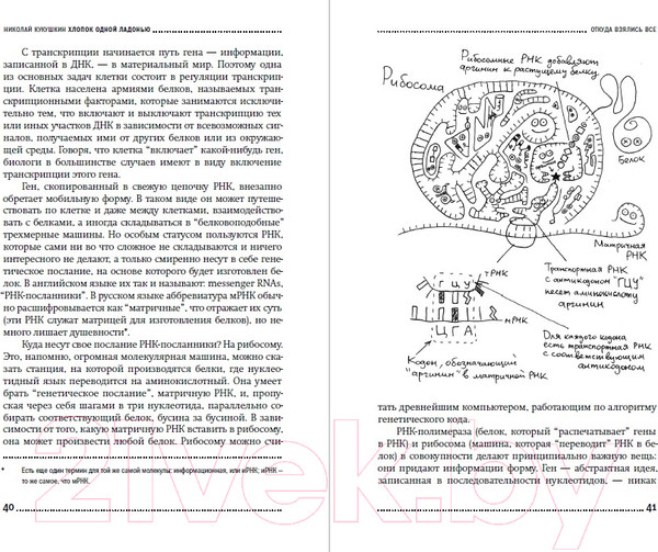 Изображение товара Книга Альпина Хлопок одной ладонью (Кукушкин Н.)