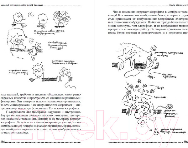Изображение товара Книга Альпина Хлопок одной ладонью (Кукушкин Н.)
