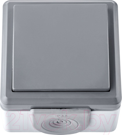 Изображение товара Выключатель Bylectrica А1 10-2131(03)