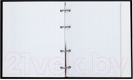 Изображение товара Тетрадь Brauberg Idea / 404091