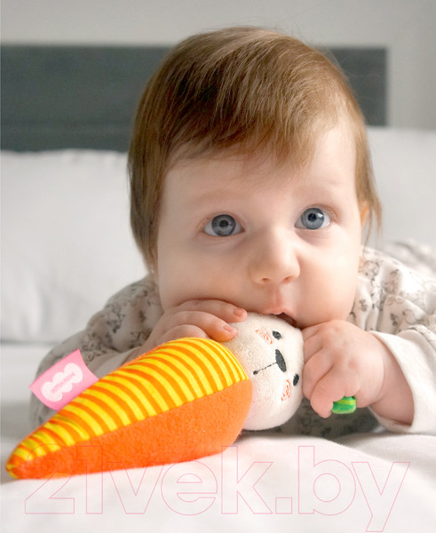 Изображение товара Развивающая игрушка Мякиши Зайка / 752