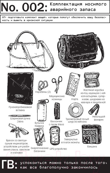 Изображение товара Книга Альпина Выживание в дикой природе и экстремальных ситуациях (Эмерсон К.)