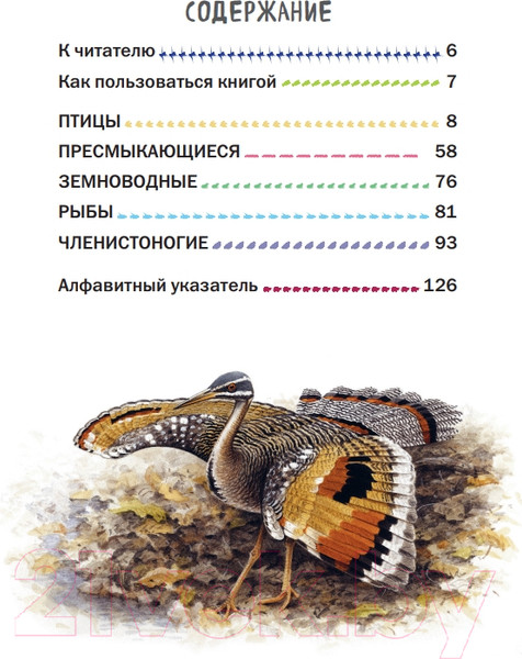 Изображение товара Энциклопедия Эксмо Все насекомые, птицы, рыбы с крупными буквами (Ананьева Е.Г.)