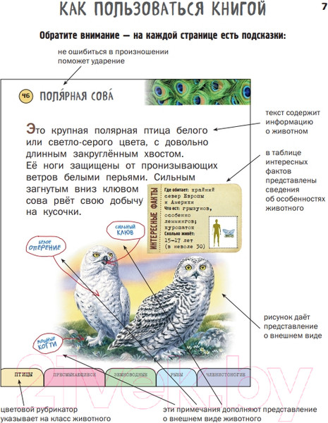 Изображение товара Энциклопедия Эксмо Все насекомые, птицы, рыбы с крупными буквами (Ананьева Е.Г.)