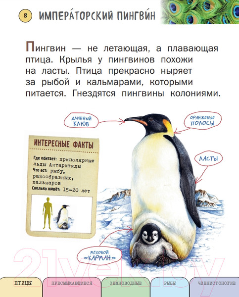 Изображение товара Энциклопедия Эксмо Все насекомые, птицы, рыбы с крупными буквами (Ананьева Е.Г.)