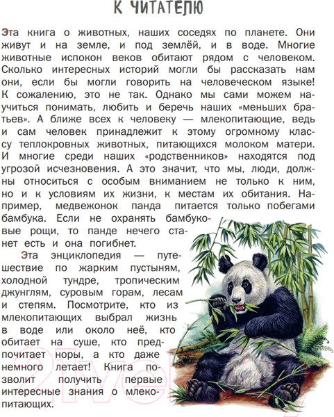 Изображение товара Энциклопедия Эксмо Все млекопитающие с крупными буквами (Ананьева Е.Г.)