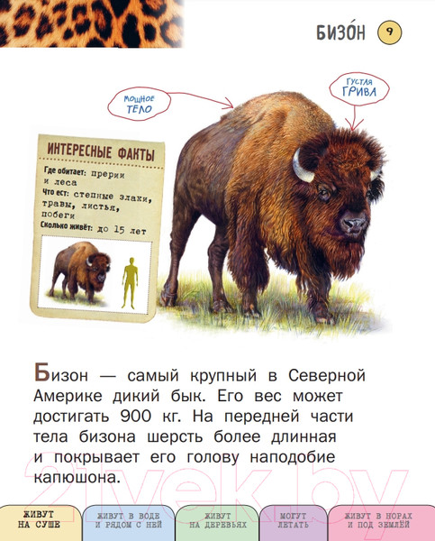 Изображение товара Энциклопедия Эксмо Все млекопитающие с крупными буквами (Ананьева Е.Г.)