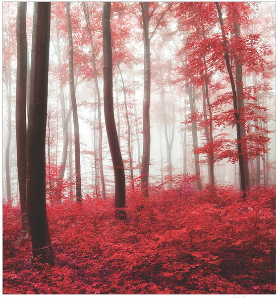 Изображение товара Набор текстиля для спальни JoyArty bcsl_19674 (220x235)