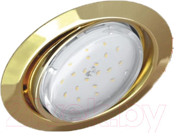 Изображение товара Точечный светильник INhome GX53R-RT-G / 4690612024387 (золото)