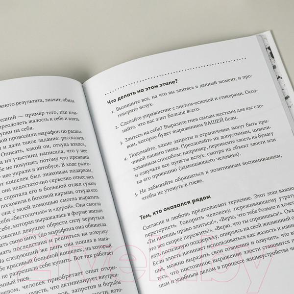 Изображение товара Книга Альпина Принять и пережить потерю, горе, утрату (Рязанцев А.)