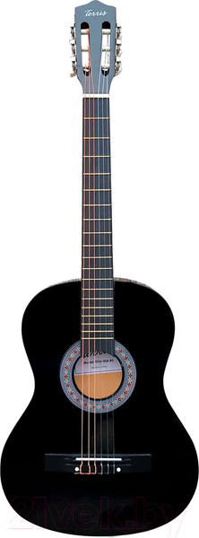 Изображение товара Акустическая гитара Terris TC-3801A BK