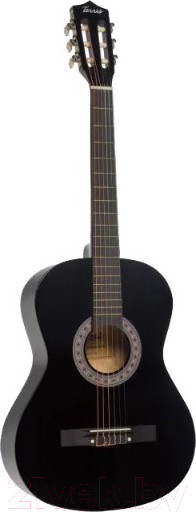 Изображение товара Акустическая гитара Terris TC-3801A BK