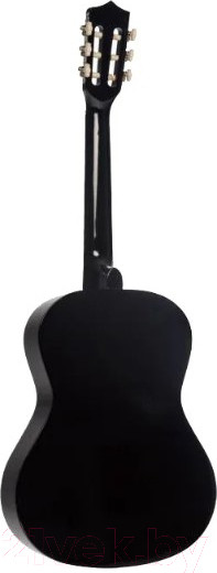 Изображение товара Акустическая гитара Terris TC-3801A BK