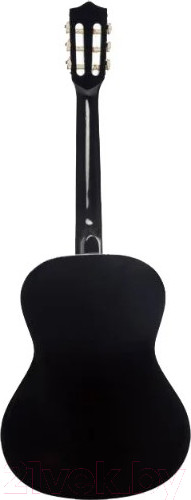 Изображение товара Акустическая гитара Terris TC-3801A BK