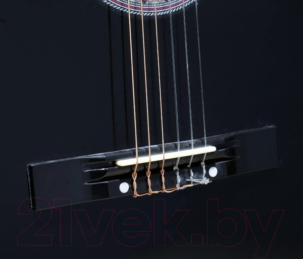 Изображение товара Акустическая гитара Terris TC-3801A BK