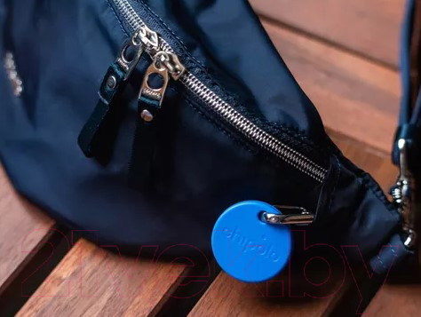 Изображение товара Брелок Chipolo One / CH-C19M-BE-R (синий)