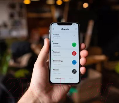 Изображение товара Брелок Chipolo One / CH-C19M-BE-R (синий)