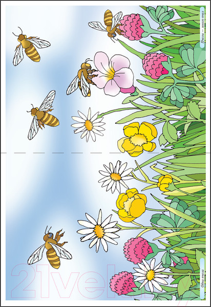 Изображение товара Наглядное пособие Мозаика-Синтез Грамматика в картинках. Множ-е число. 2-е издание / МС12117