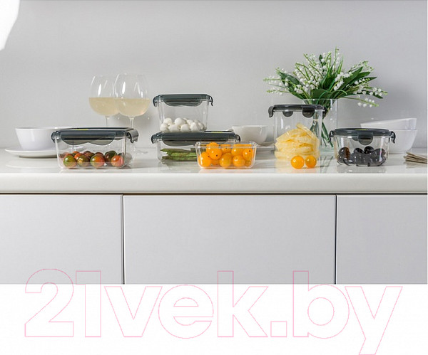 Изображение товара Контейнер Phibo Brilliant / 431179813 (черный)