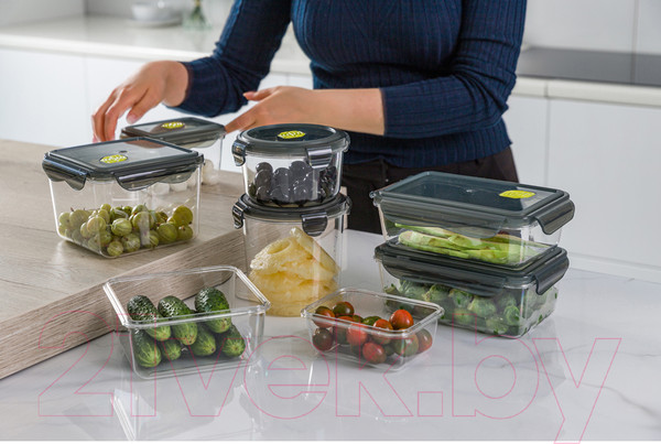 Изображение товара Контейнер Phibo Brilliant / 431179913 (черный)