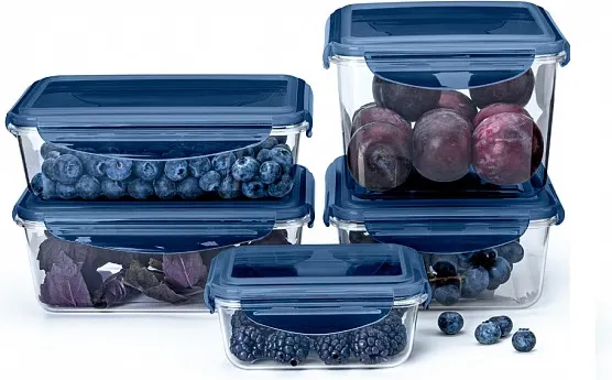 Изображение товара Контейнер Phibo Brilliant / 431199217 (синий)