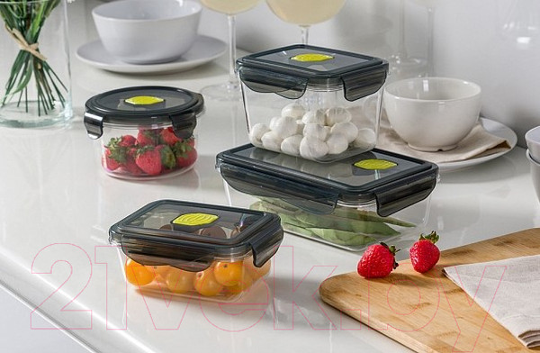 Изображение товара Контейнер Phibo Brilliant / 431179513 (черный)